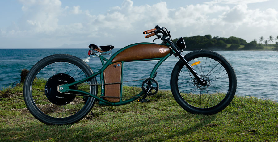 Rayvolt Bike