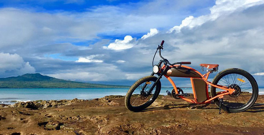 Rayvolt Bike